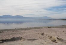 Salton Sea emite gás tóxico, impactando cultura geek