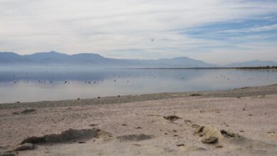 Salton Sea emite gás tóxico, impactando cultura geek