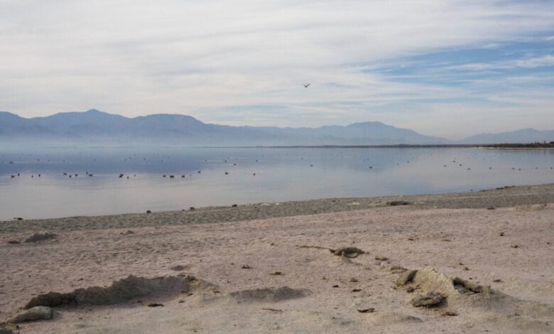 Salton Sea emite gás tóxico, impactando cultura geek