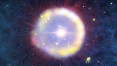 Cosmological Radio Signal Will Help Astronomers Detect Universe’s First-Generation Stars