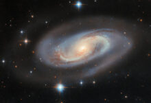 This Hubble image shows UGC 11397, a barred spiral galaxy some 250 million light-years away in the constellation of Lyra. Image credit: NASA / ESA / Hubble / M.J. Koss / A.J. Barth.