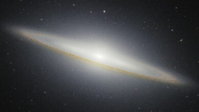 In the new Webb/NIRCam image, the Sombrero galaxy’s huge bulge, the tightly packed group of stars at the galaxy’s center, is illuminated, while the dust in the outer edges of the disk blocks some stellar light. Image credit: NASA / ESA / CSA / STScI.