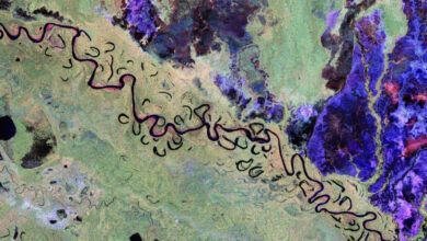 ESA revela imagens da Terra feitas pelo satélite Biomass