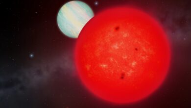 NASA investiga exoplaneta gigante formado por estrela pequena