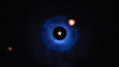 This Webb/MIRI image shows the Saturn-mass exoplanet TWA 7b. Image credit: NASA / ESA / CSA / Webb / A.M. Lagrange / M. Zamani, ESA & Webb.