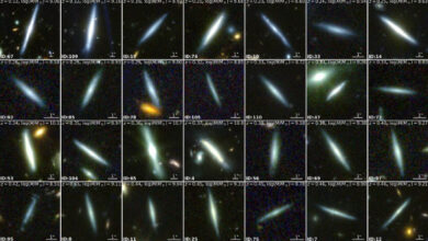 Webb/NIRCam composite images of a quarter of the team’s sample sorted by increasing redshift. Image credit: Tsukui et al., doi: 10.1093/mnras/staf604.