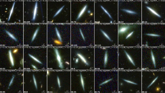 Webb/NIRCam composite images of a quarter of the team’s sample sorted by increasing redshift. Image credit: Tsukui et al., doi: 10.1093/mnras/staf604.