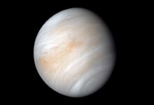 NASA descobre família de asteroides na órbita de Vênus
