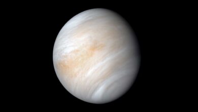NASA descobre família de asteroides na órbita de Vênus