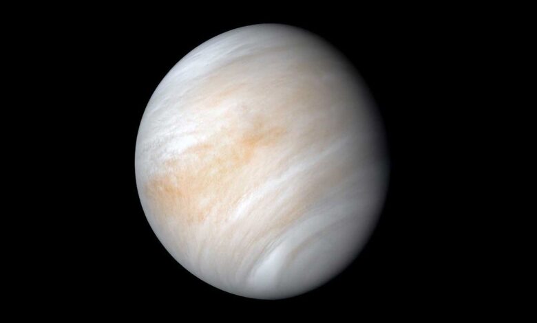 NASA descobre família de asteroides na órbita de Vênus