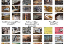 Machine learning identifica madeira contaminada com 91% de precisão