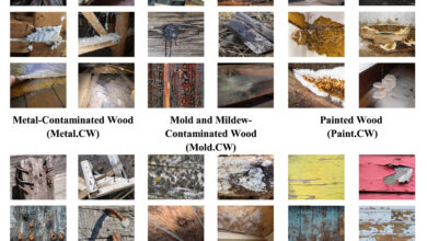 Machine learning identifica madeira contaminada com 91% de precisão