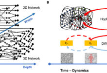 Modelos de machine learning adotam abordagem mais eficaz