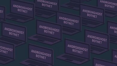 Universidades dos EUA sofrem ataque de botnet Androxgh0st