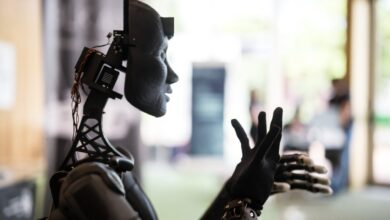 LLM potencia tecnologia europeia com nova contratação