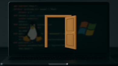 Backdoors em pacotes Python e NPM expõem vulnerabilidades