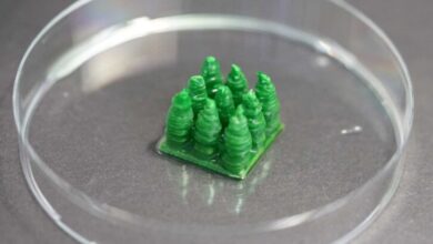 Cientistas criam material de construção sustentável que captura CO2