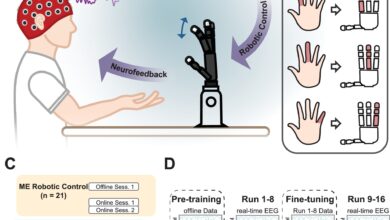 Rede neural melhora controle de mão robótica em níveis de dedo