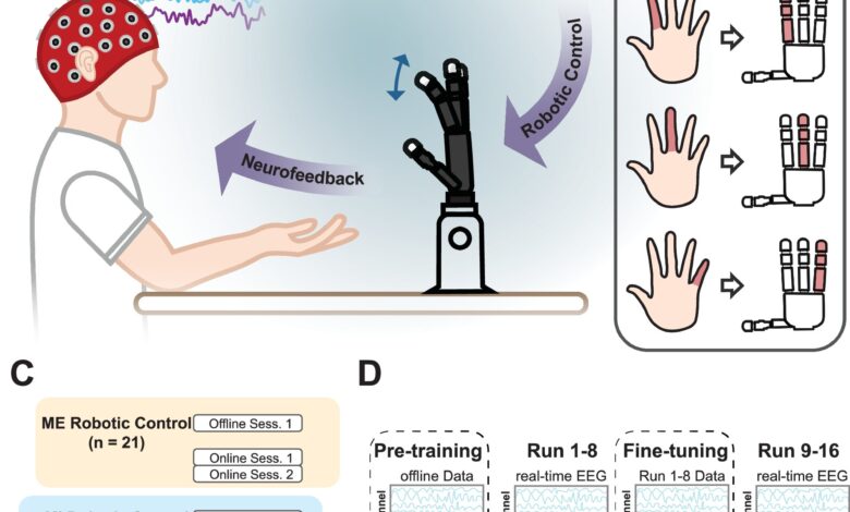 Rede neural melhora controle de mão robótica em níveis de dedo