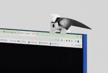 Webcam em formato de pássaro traz design inspirador para escritórios