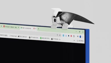 Webcam em formato de pássaro traz design inspirador para escritórios