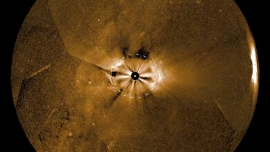 NASA registra explosões solares colossais em vídeo