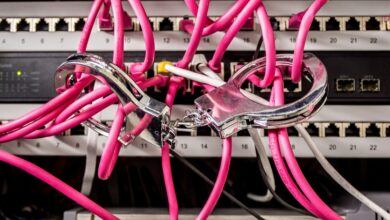 Operação desmantela rede de infostealers e impede 20 mil IPs maliciosos