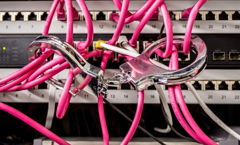 Operação desmantela rede de infostealers e impede 20 mil IPs maliciosos