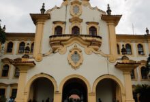 Educação pública registra aumento de estudantes nas universidades