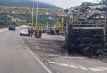 STF analisa emboscada de palmeirenses em SP