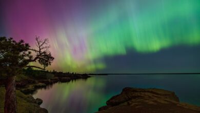 NASA alerta para visibilidade de auroras em 13 estados dos EUA