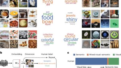Redes neurais e humanos interpretam objetos de formas distintas