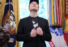 Tesla revela nova estratégia para reconquistar MAGA