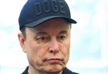 Grok recebe ajustes após discordância de Elon sobre cultura de violência