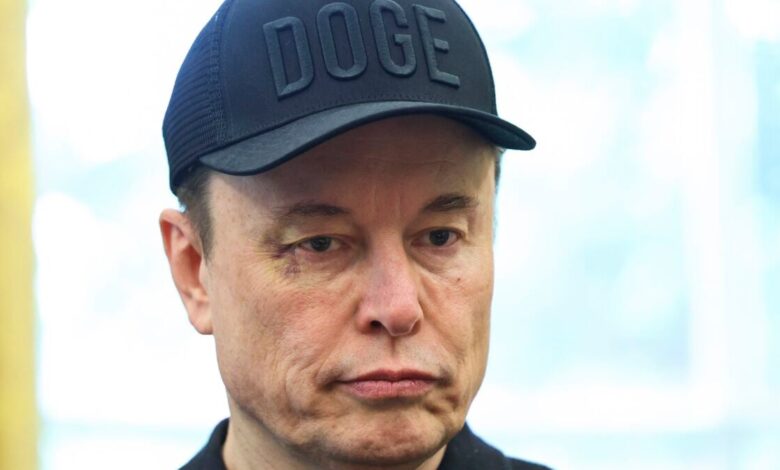 Grok recebe ajustes após discordância de Elon sobre cultura de violência