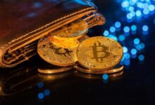 Billionaire transforma software em baleia de Bitcoin de $42 bilhões