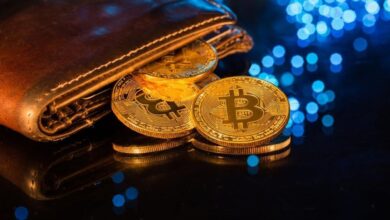Billionaire transforma software em baleia de Bitcoin de $42 bilhões