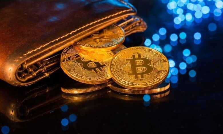 Billionaire transforma software em baleia de Bitcoin de $42 bilhões