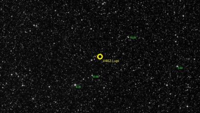 NASA registra explosão de estrela na constelação de Lobo