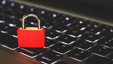 DDoS ataca empresas e compromete segurança online