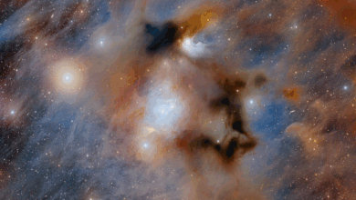 Dark Energy Camera revela berçário de estrelas em Chamaeleon I