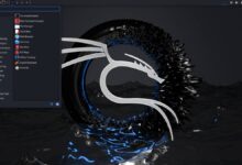 Kali Linux corrige vulnerabilidade e adiciona novas ferramentas