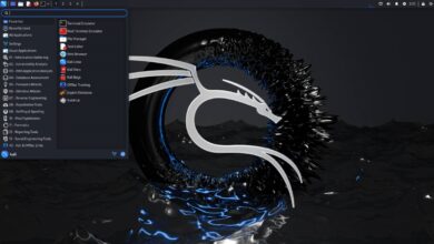 Kali Linux corrige vulnerabilidade e adiciona novas ferramentas