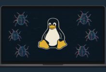 Vulnerabilidade em Linux expõe hashes de senhas (CVE-2025-5054, 4598)