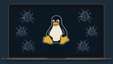 Vulnerabilidade em Linux expõe hashes de senhas (CVE-2025-5054, 4598)