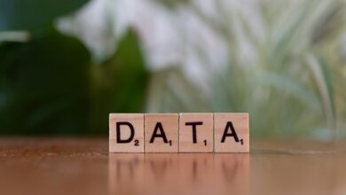 Data science enfrenta desafios sem proteção na era do AI