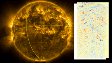 ESA revela imagens inéditas das pólens do Sol com Solar Orbiter