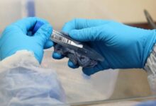 FDA lança ferramenta AI, Elsa, antes do previsto