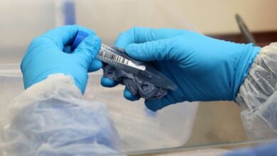 FDA lança ferramenta AI, Elsa, antes do previsto