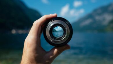 Vision Transformer reduz custos em projetos de machine learning